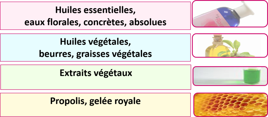 Projet Cosmégenetics