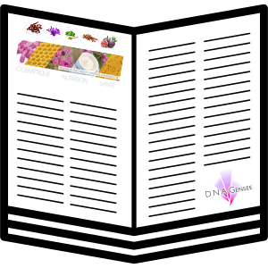 publication3