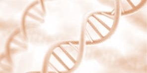 ADN végétal L'ADN végétal possède une structure en double hélice