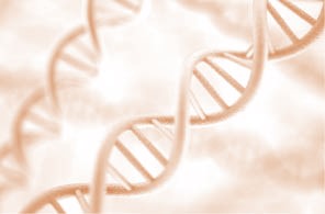 Plant DNA has a double helix structure