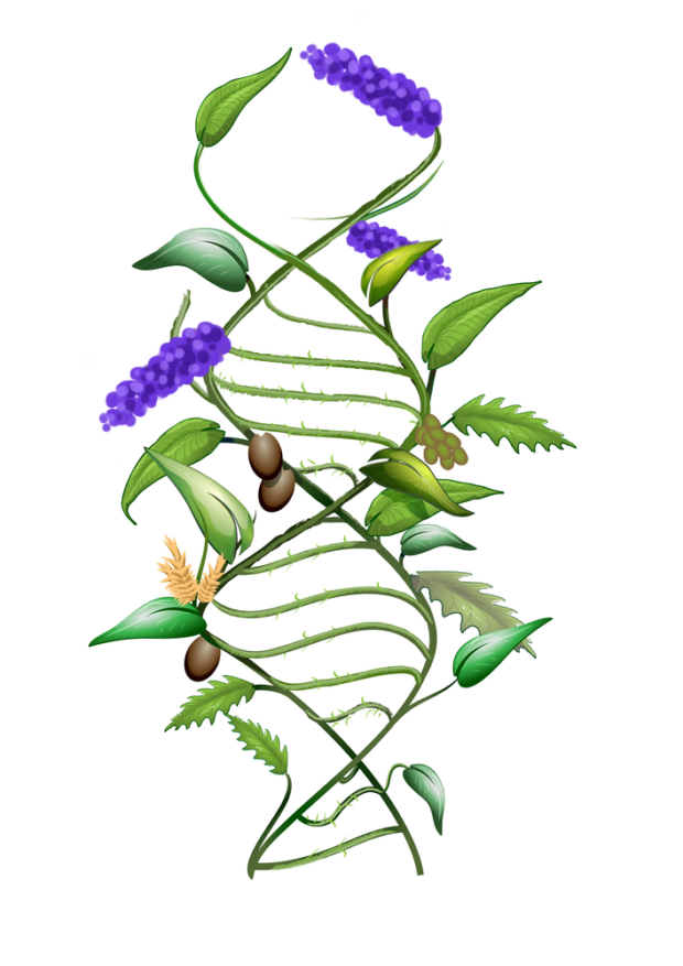 shutterstock_230159638