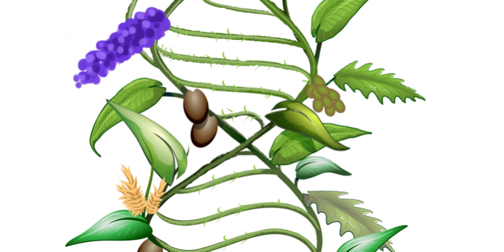 shutterstock_230159638