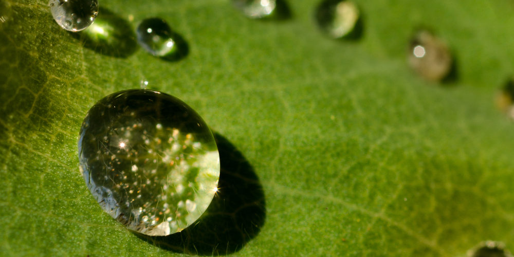 nature-sunny-water-summersmall Florian philippe