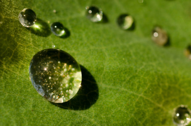 nature-sunny-water-summersmall Florian philippe
