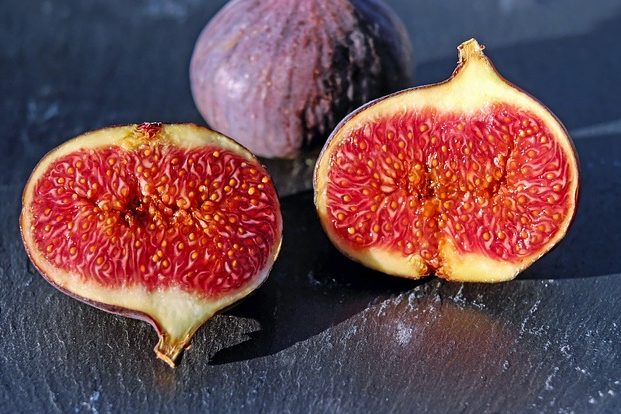 figs-1620590_640