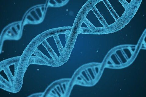 dna-g800f11aef_640